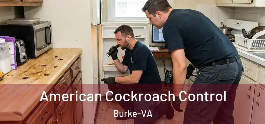  American Cockroach Control Burke-VA