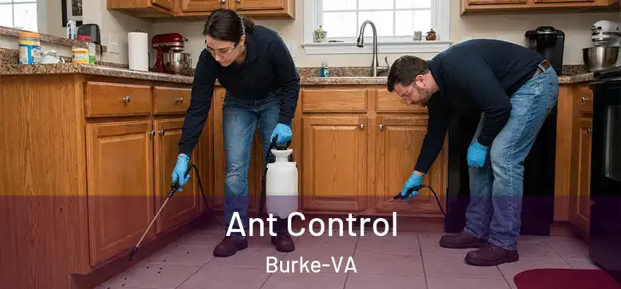 Ant Control Burke-VA