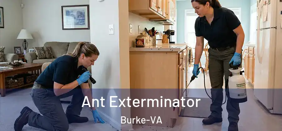  Ant Exterminator Burke-VA