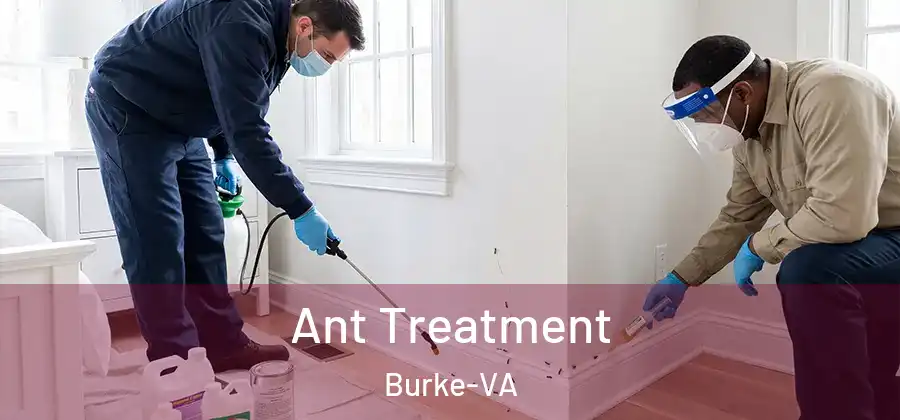  Ant Treatment Burke-VA