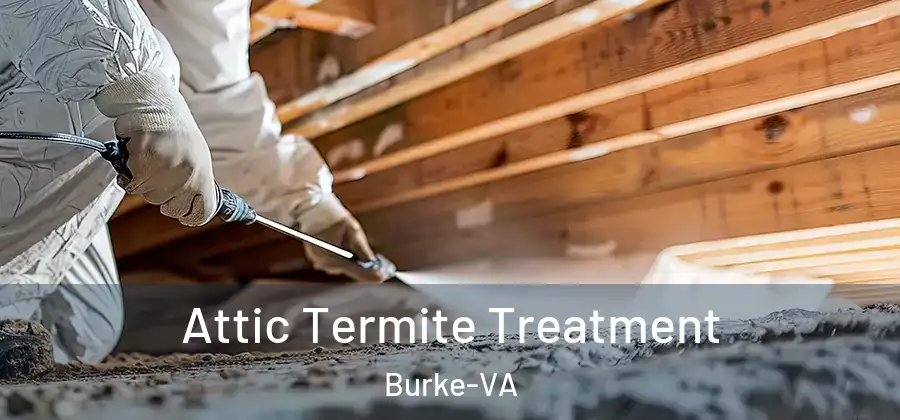  Attic Termite Treatment Burke-VA