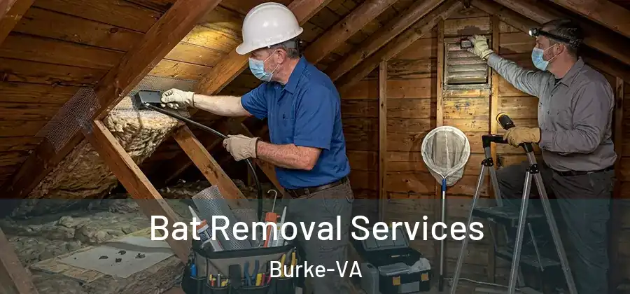  Bat Removal Services Burke-VA