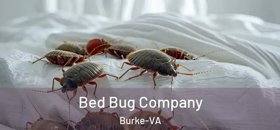 Bed Bug Company Burke-VA