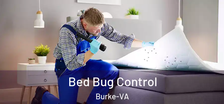  Bed Bug Control Burke-VA