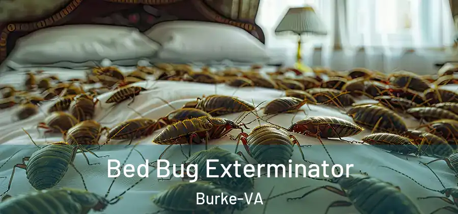 Bed Bug Exterminator Burke-VA