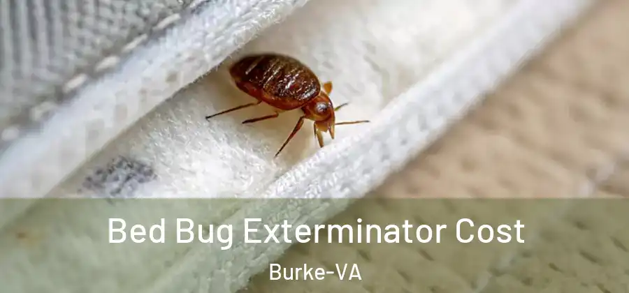  Bed Bug Exterminator Cost Burke-VA