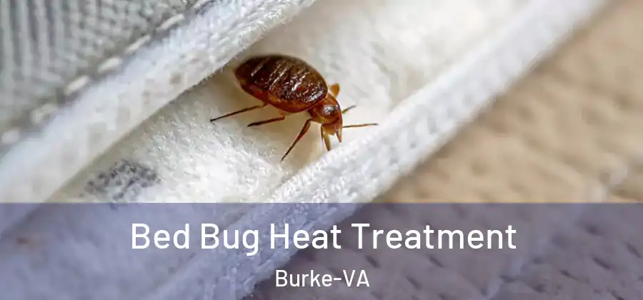  Bed Bug Heat Treatment Burke-VA