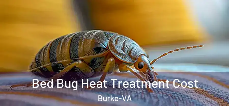  Bed Bug Heat Treatment Cost Burke-VA