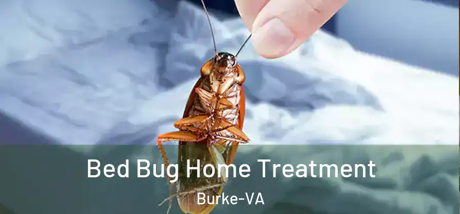  Bed Bug Home Treatment Burke-VA