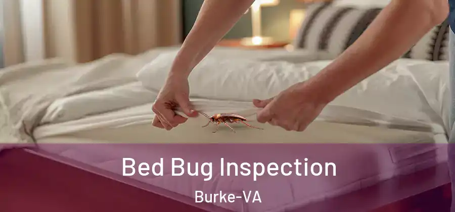  Bed Bug Inspection Burke-VA