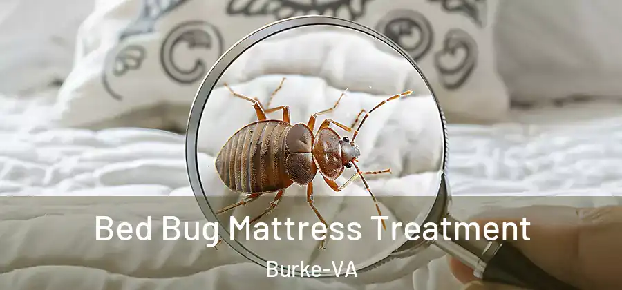  Bed Bug Mattress Treatment Burke-VA