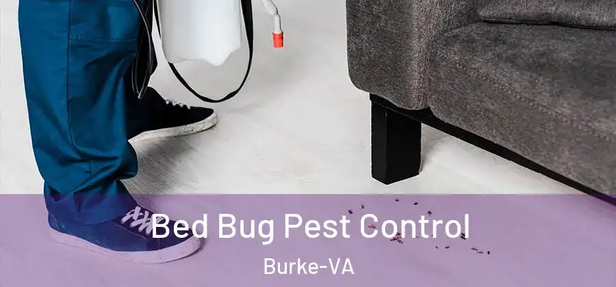  Bed Bug Pest Control Burke-VA