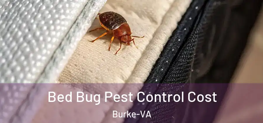  Bed Bug Pest Control Cost Burke-VA