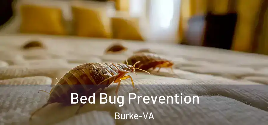  Bed Bug Prevention Burke-VA