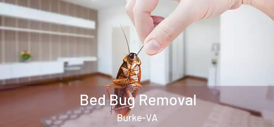  Bed Bug Removal Burke-VA