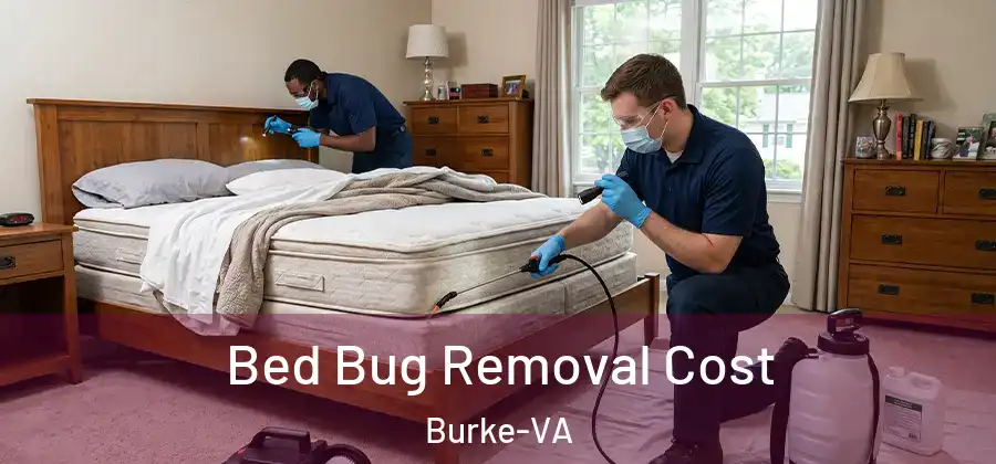 Bed Bug Removal Cost Burke-VA