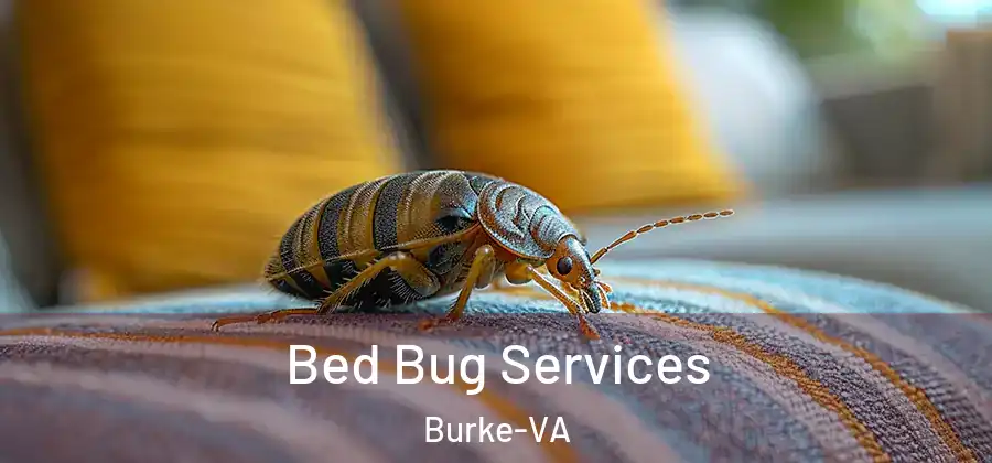  Bed Bug Services Burke-VA