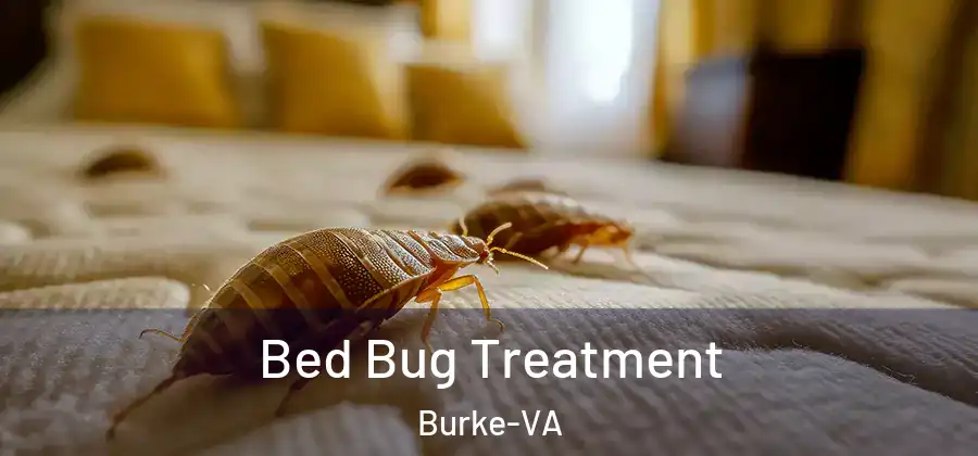  Bed Bug Treatment Burke-VA