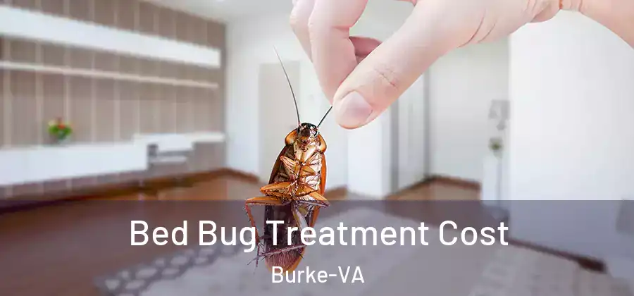  Bed Bug Treatment Cost Burke-VA