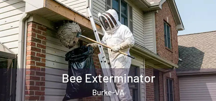  Bee Exterminator Burke-VA