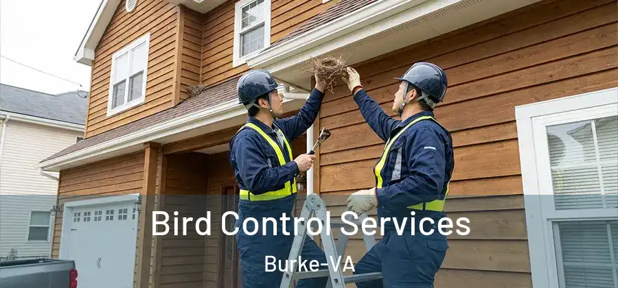  Bird Control Services Burke-VA
