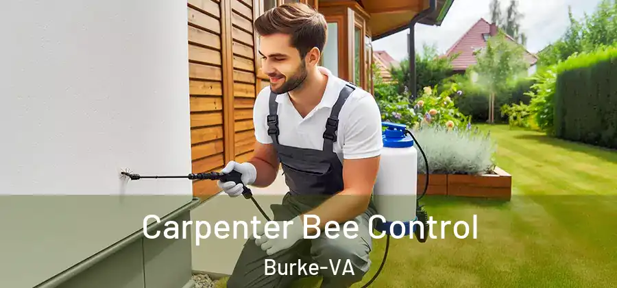  Carpenter Bee Control Burke-VA