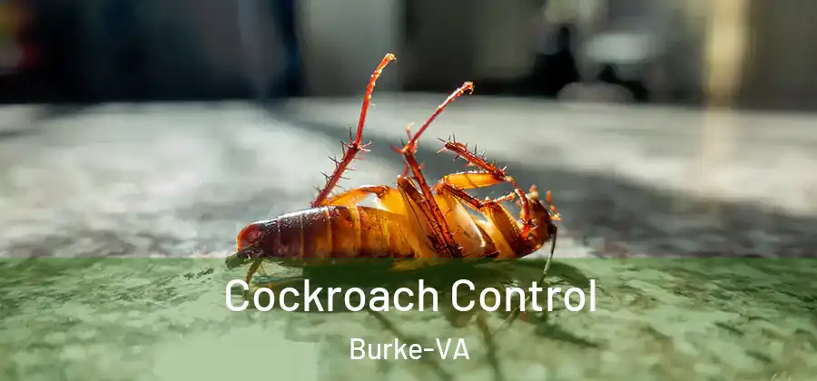  Cockroach Control Burke-VA