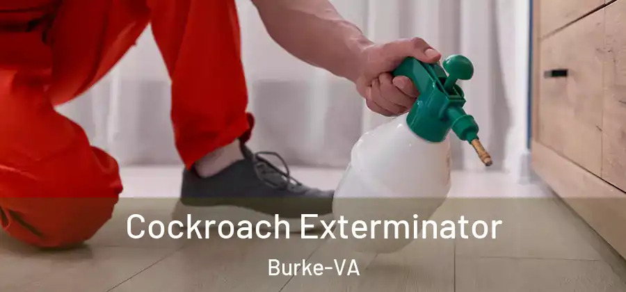 Cockroach Exterminator Burke-VA