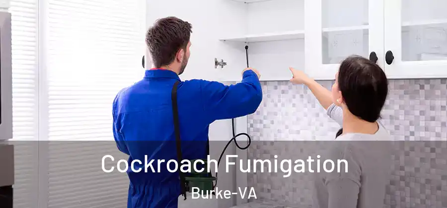 Cockroach Fumigation Burke-VA