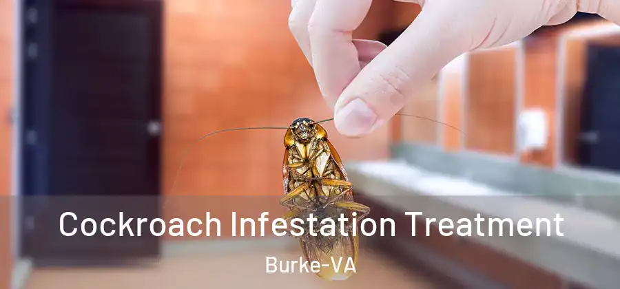 Cockroach Infestation Treatment Burke-VA