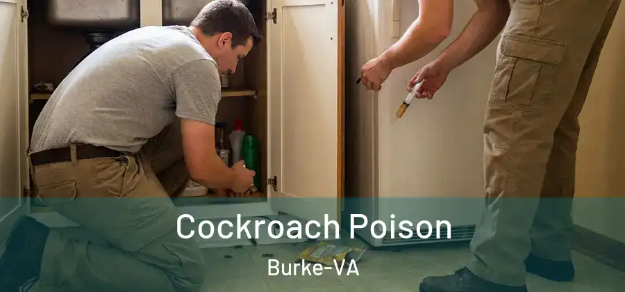 Cockroach Poison Burke-VA