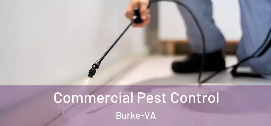  Commercial Pest Control Burke-VA