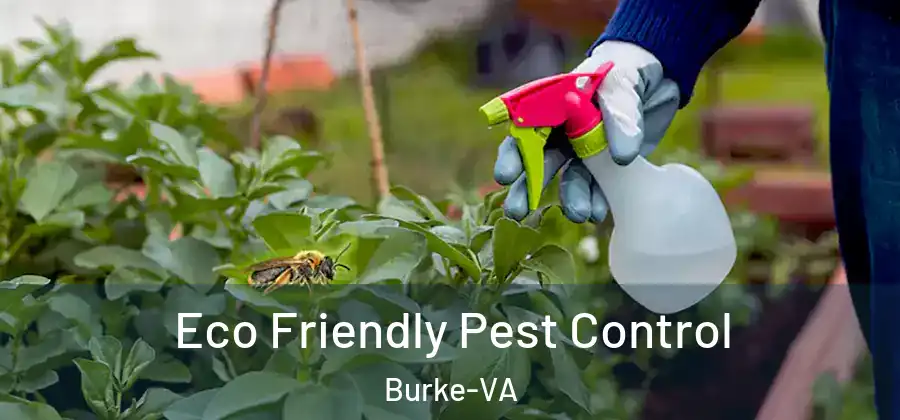  Eco Friendly Pest Control Burke-VA
