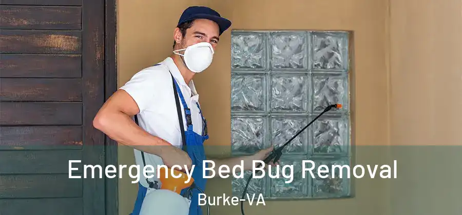  Emergency Bed Bug Removal Burke-VA