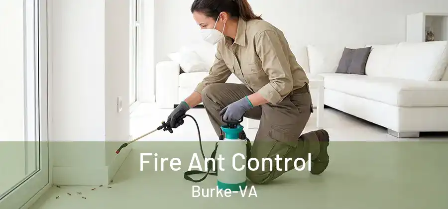 Fire Ant Control Burke-VA