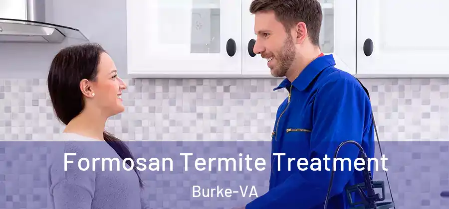 Formosan Termite Treatment Burke-VA