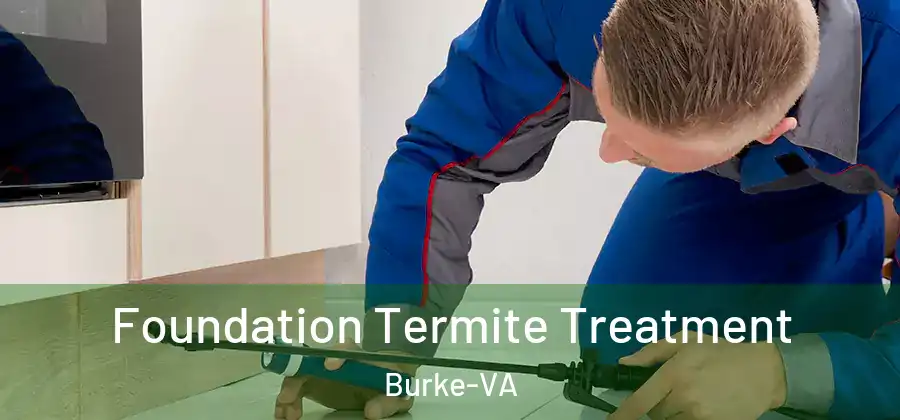  Foundation Termite Treatment Burke-VA