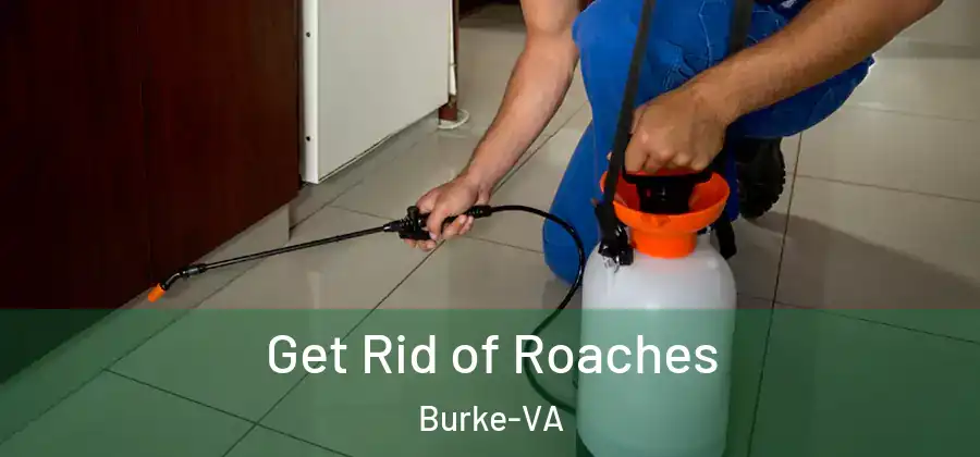 Get Rid of Roaches Burke-VA