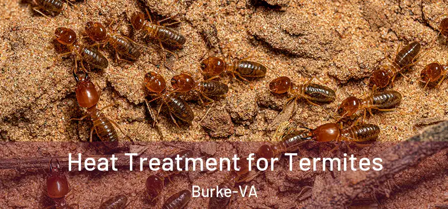  Heat Treatment for Termites Burke-VA