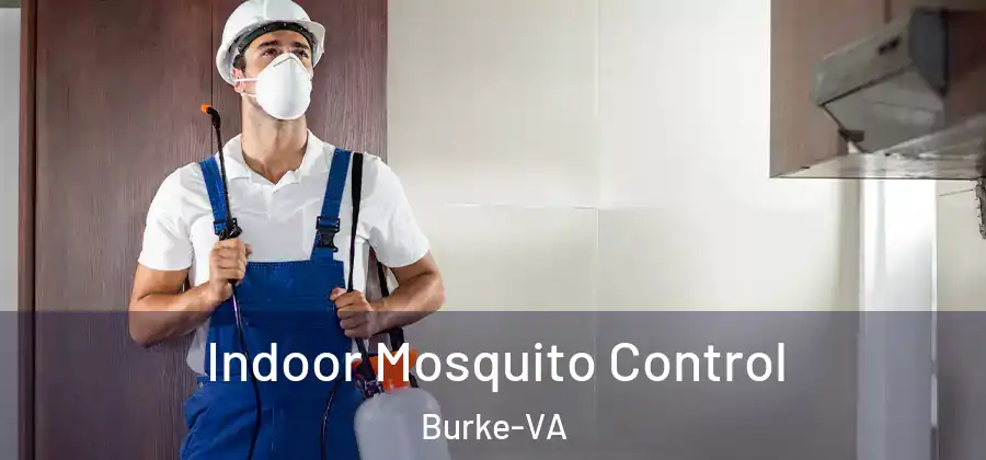  Indoor Mosquito Control Burke-VA
