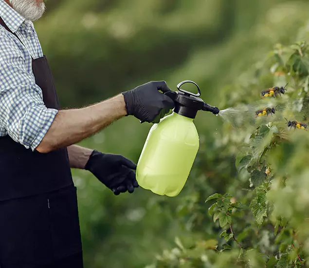 Your Carpenter Bee Service in Burke, VA