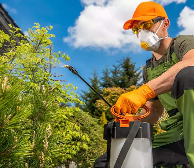 Your Mosquito Repellent Barrier Service in Burke, VA