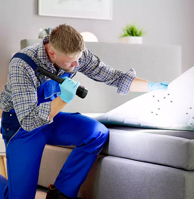Why Choose Burke Pest Control Pro For Bed Bug Heat Treatment in Burke, VA?