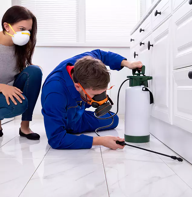 Why Burke, VA Homeowners Trust Burke Pest Control Pro for Roach Control?