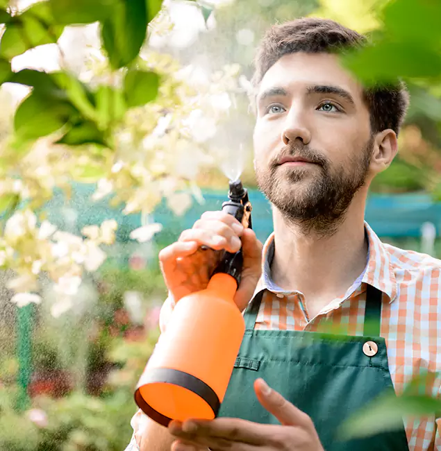 Why Burke Pest Control Pro Is the Best Mosquito Control Company in Burke, VA?