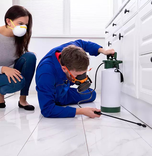Why Choose Wood Termite Treatment by Burke Pest Control Pro in Burke, VA?