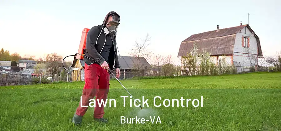 Lawn Tick Control Burke-VA