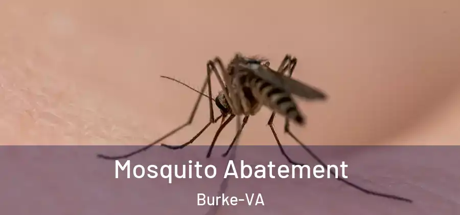  Mosquito Abatement Burke-VA