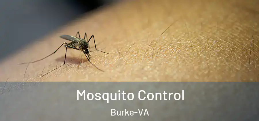  Mosquito Control Burke-VA