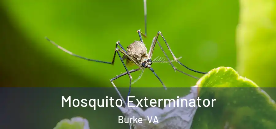  Mosquito Exterminator Burke-VA